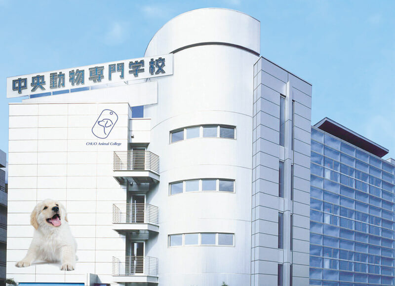 学校法人 中央工学校 中央動物専門学校